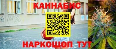 гидра Камышлов