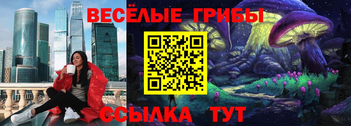 Галлюциногенные грибы Psilocybe Майский