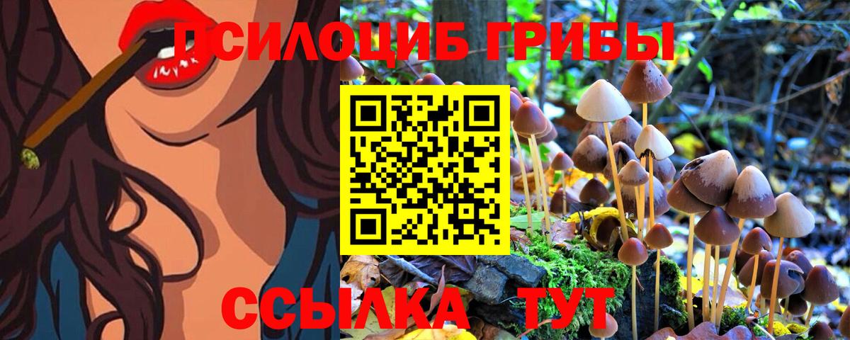 Галлюциногенные грибы Psilocybine cubensis  Псилоцибиновые грибы прущие грибы  Вход с VPN  Майский 